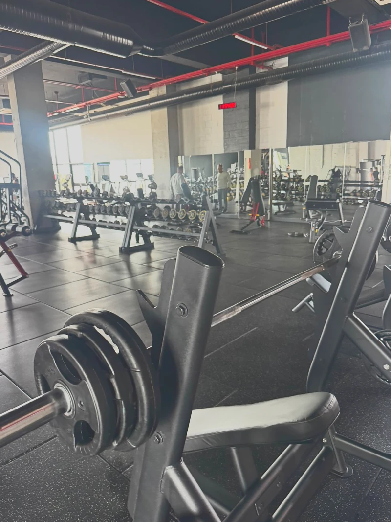 Serbest ağırlık alanında bench ve plakalar