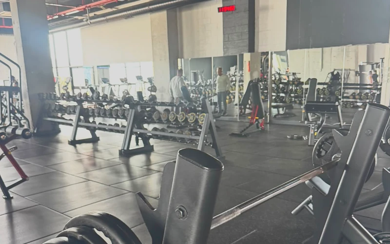 Serbest ağırlık alanında bench ve plakalar